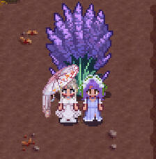 Stardew with Pookie